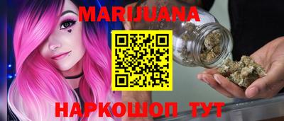 спайс Кингисепп