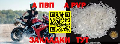 спайс Кингисепп