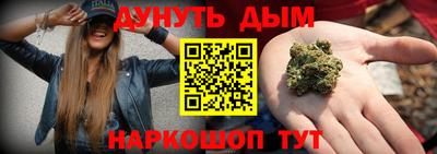спайс Кингисепп