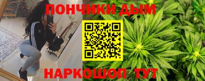 спайс Кингисепп