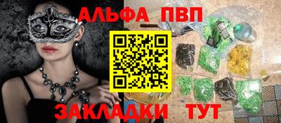 спайс Кингисепп
