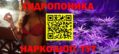 эйфоретик Кимры