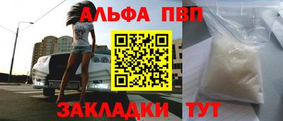 спайс Кингисепп