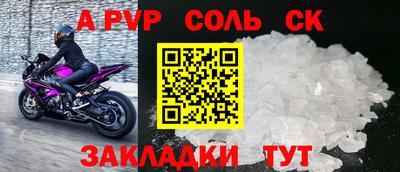 спайс Кингисепп