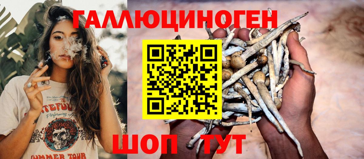 Псилоцибиновые грибы прущие грибы  Псилоцибиновые грибы ЛСД  Вход с VPN  Красноярск 