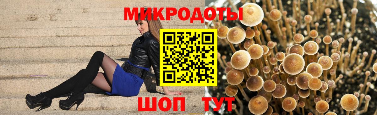 Галлюциногенные грибы MAGIC MUSHROOMS Красноярск